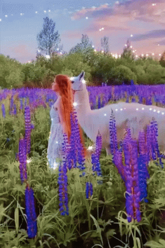 A Woman With Long Red Hair Is Standing Next To A White Llama In A Field Of Purple Flowers GIF