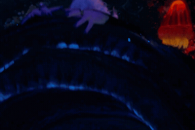A Woman With Purple Hair And Black Nails Is Wearing A Ring On Her Finger GIF
