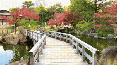 A Wooden Bridge Over A Body Of Water With Red Leaves On The Trees GIF