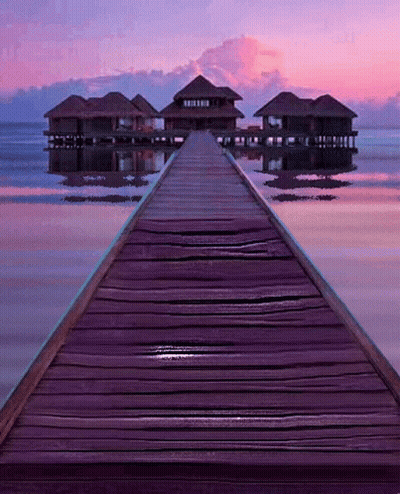 A Wooden Dock Leads To A Small Island With Houses On It GIF