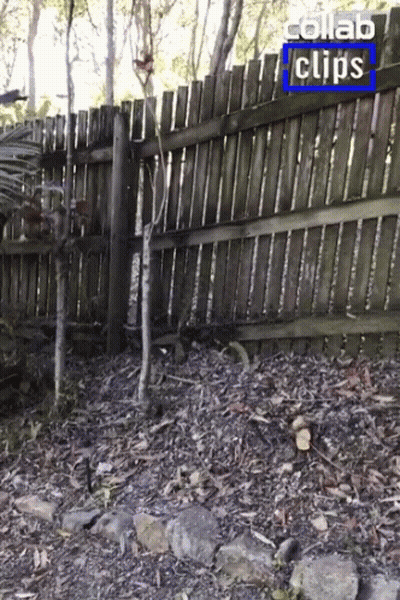 A Wooden Fence With The Words Collab Clips On The Top GIF