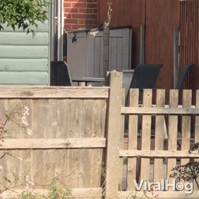 A Wooden Fence With The Words Viralhog Written On It GIF