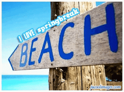 A Wooden Sign That Says I Love Spring Break Beach GIF