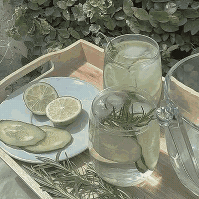 A Wooden Tray With Glasses Of Water , Lemons , Cucumbers , And Rosemary On It . GIF