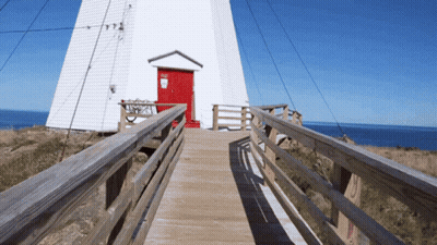 A Wooden Walkway Leads To A White Building With A Red Door And A Sign That Says No Dogs GIF