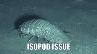 A Worm Is Crawling On The Ground With The Words Isopod Issue Below It . GIF