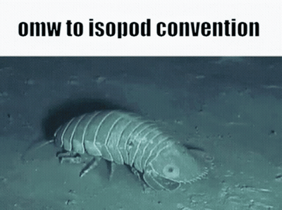 A Worm Is Crawling On The Ground With The Words `` Omw To Isopod Convention '' Written On The Bottom . GIF