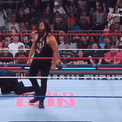 A Wrestler In A Ring With A Sign That Says Fun GIF
