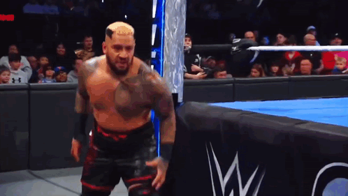 A Wrestler In A Wrestling Ring With The Letter W On The Side GIF