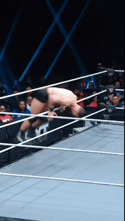 A Wrestler In A Wrestling Ring With The Letter W On The Side GIF