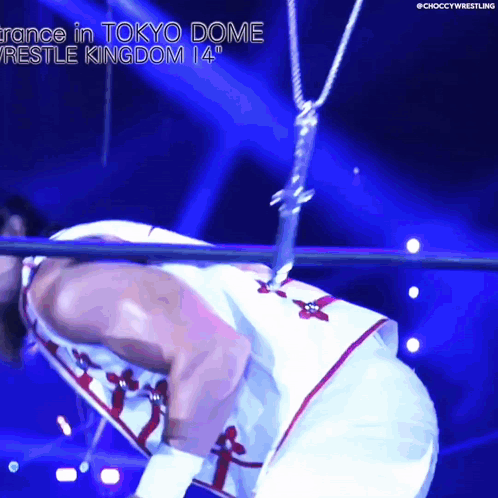 A Wrestler Is Hanging Upside Down In A Tokyo Dome GIF