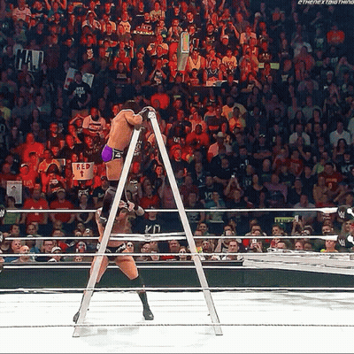 A Wrestler Is Standing On A Ladder In Front Of A Crowd That Has A Sign That Says Mad GIF