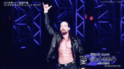 A Wrestler Named Switch Blade Is Standing On A Stage With His Arms In The Air GIF
