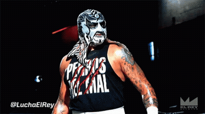 A Wrestler With A Mask And A Shirt That Says Ferros Real GIF