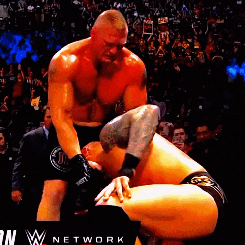 A Wrestling Match Is Being Shown On A Screen That Says W Network GIF
