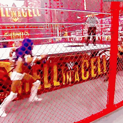 A Wrestling Match Is Going On In A Ring With A Sign That Says ' Lincoln ' On It GIF