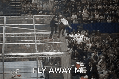 A Wrestling Match With The Words Fly Away Me Written In The Corner GIF