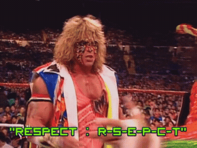 A Wrestling Match With The Words Respect R-S-E-P-C-T Written On The Screen GIF