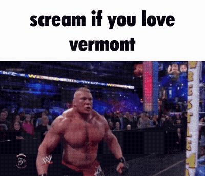 A Wrestling Ring With The Words " Scream If You Love Vermont " On The Bottom GIF