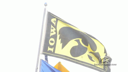 A Yellow And Black Iowa Hawkeyes Flag Is Flying In The Wind GIF