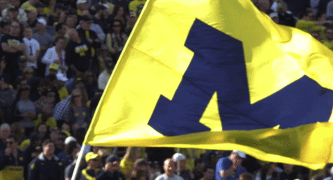 A Yellow And Blue Flag With A Large M On It GIF