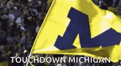 A Yellow And Blue Flag With The Letter M On It Is Being Waved In Front Of A Crowd . GIF
