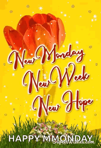 A Yellow Background With A Red Flower And The Words `` New Monday New Week New Hope '' . GIF