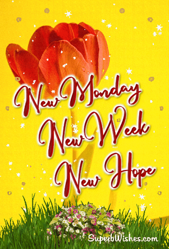 A Yellow Background With A Red Flower And The Words New Monday New Week New Hope GIF