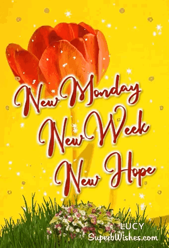 A Yellow Background With The Words New Monday New Week New Hope On It GIF