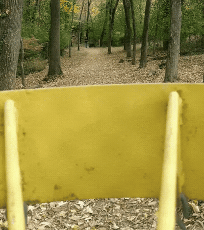 A Yellow Bench In A Park With Trees In The Background And Leaves On The Ground GIF