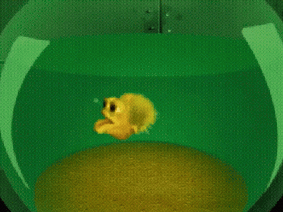 A Yellow Fish Is Swimming In A Green Bowl Of Water GIF