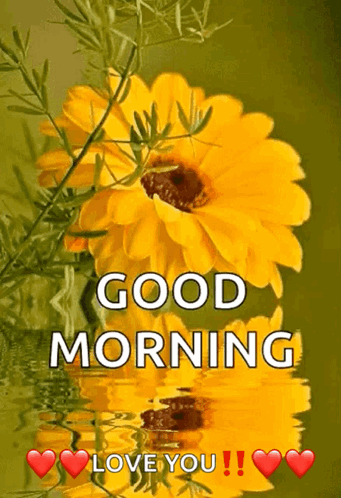A Yellow Flower With The Words Good Morning Love You GIF