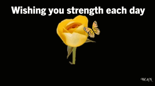 A Yellow Rose With The Words Wishing You Strength Each Day Get Well Soon GIF