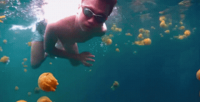 A Young Boy Is Swimming In The Ocean With Jellyfish . GIF