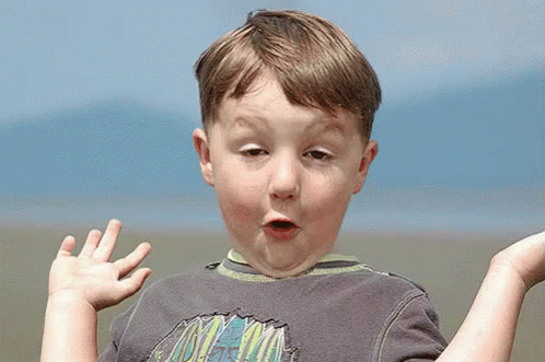 A Young Boy Wearing A Grey Shirt With A Mountain On It GIF