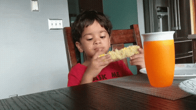 A Young Boy Wearing A Red Shirt That Says Ask Me Eating Corn On The Cob GIF