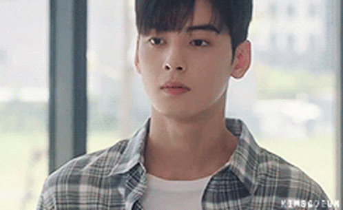 A Young Man In A Plaid Shirt Is Standing In Front Of A Window And Looking At The Camera . GIF