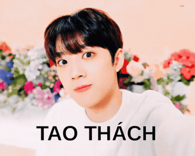 A Young Man In A White Shirt Is Standing In Front Of A Bunch Of Flowers And The Word Tao Is On The Bottom GIF