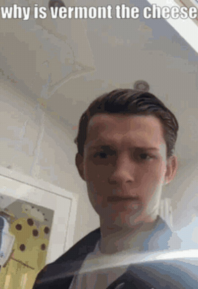 A Young Man Is Taking A Selfie In Front Of A Mirror With The Words `` Why Is Vermont The Cheese '' . GIF
