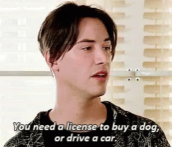 A Young Man Is Talking About A License To Buy A Dog Or Drive A Car GIF