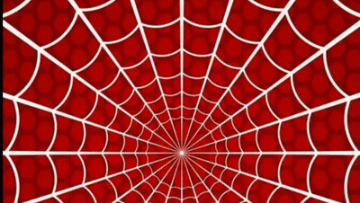 A Young Man Stands In Front Of A Spider Web GIF