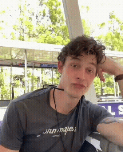 A Young Man With Curly Hair Is Wearing A Gray T-Shirt That Says ' Shawn Mendes ' On It GIF