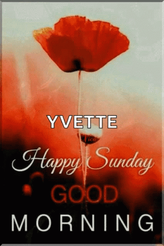 A Yvette Happy Sunday Good Morning Sign With A Red Flower GIF