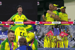 Aaron Finch David Warner Cricket Win GIF