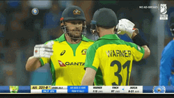 Aaron Finch David Warner Hug GIF
