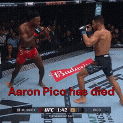 Aaron Pico Has Died In UFC Fight Between Murphy And Pico GIF