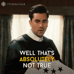 Absolutely Not True GIF