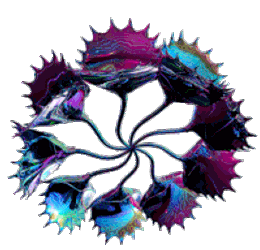 Abstract Art Virtual Sticker GIF