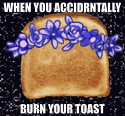Accidentally Burns French Toast