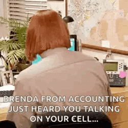 Accountant Brenda From Accounting Dwight Schrute GIF